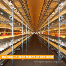 High Quality Automatic Battery Broiler Cages Equipment Sale for Farm